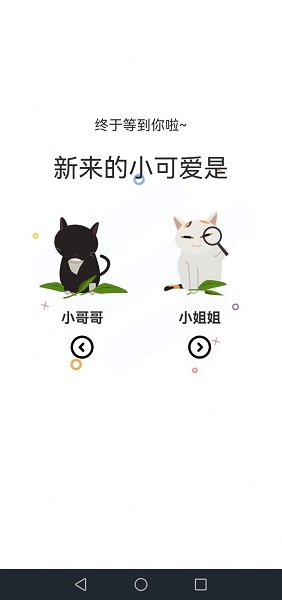 喵上动漫官方版截图3