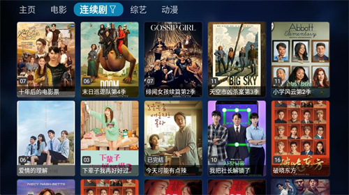 TVBox网页版截图4