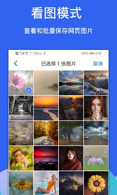 Alook浏览器安卓版截图4