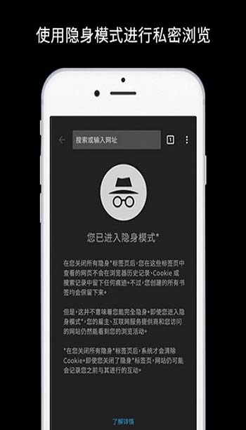 谷歌浏览器汉化版截图2